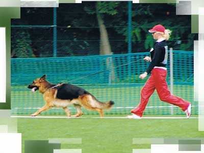 Degen von Bellanagara