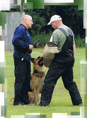 Rudy and Blitz
